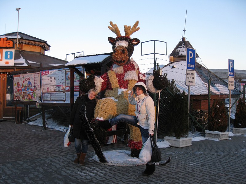 IMG 1273