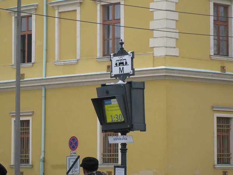 IMG 1539