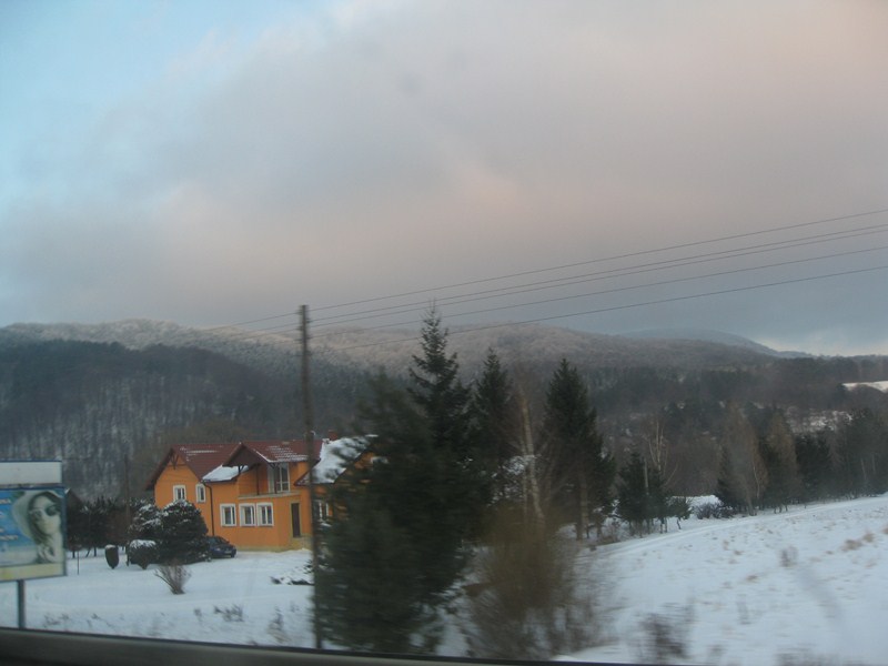 IMG 1587