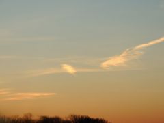 DSCN2996
