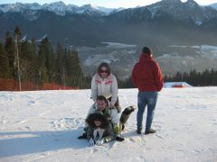 IMG 8880