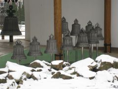 IMG 1562