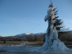 IMG 8922
