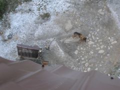 IMG 1065