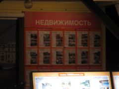 IMG 1570