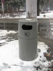 IMG 1550