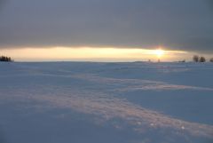 IMG 0930