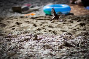 20120830-IMG_5677s.jpg