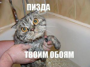 post-9378-0-53940000-1362078474_thumb.jpg