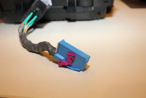 IMG_9702.jpg