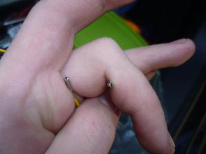 post-10343-0-57918100-1369973189_thumb.jpg