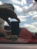 post-14844-1375084557,4248_thumb.jpg
