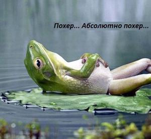 Нам все равно.jpeg