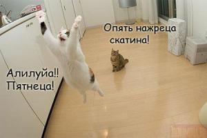 post-1075-13129942570325_thumb.jpg