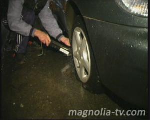 post-1833-13129941445346_thumb.jpg