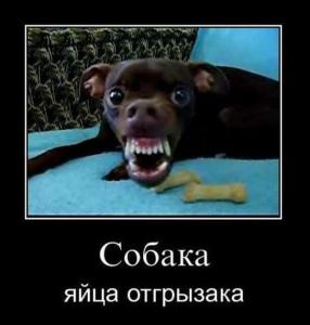 post-2018-13129949202342_thumb.jpg