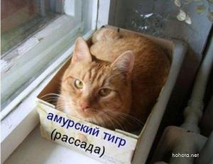 post-2018-13129950720601_thumb.jpg