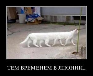 post-2018-13129951208715_thumb.jpg