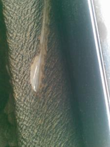 post-2099-13129944627742_thumb.jpg