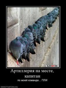 post-2099-13129945067313_thumb.jpg