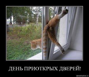 post-2099-13129945572953_thumb.jpg