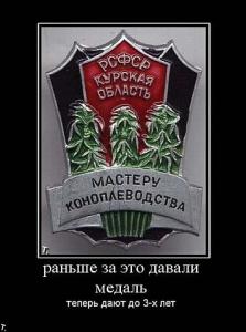 post-2099-13129945573393_thumb.jpg