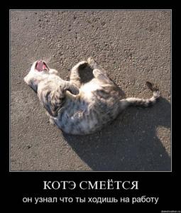 post-2099-13129945573782_thumb.jpg