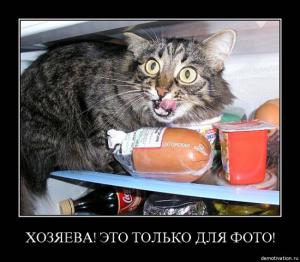 post-2099-13129945574577_thumb.jpg