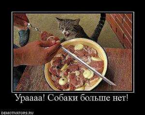 post-2099-13129945580962_thumb.jpg