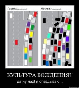 post-2099-13129945665793_thumb.jpg