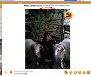 post-2190-131299490577_thumb.jpg