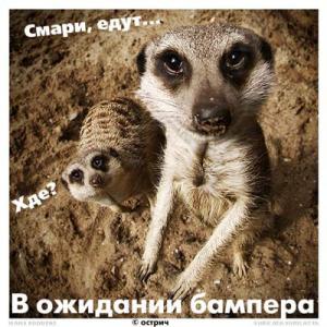 post-25-13129938700586_thumb.jpg