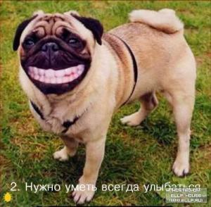 post-25-13129939922539_thumb.jpg