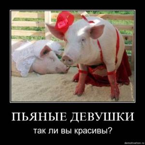 post-2556-13129943343066_thumb.jpg