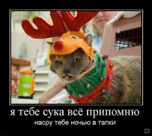 post-2556-13129945477252_thumb.jpeg