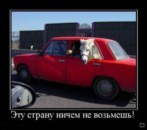 post-2556-13129945477456_thumb.jpeg