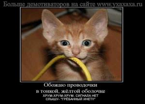post-2556-1312994568483_thumb.jpg