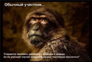 post-2556-13129945762588_thumb.jpg