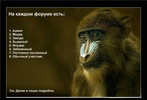 post-2556-13129945763499_thumb.jpg