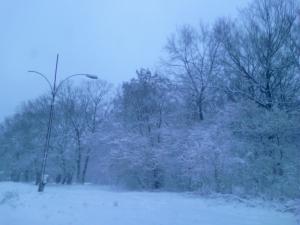 Photo-0154.jpg