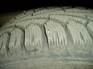 PB280129.JPG