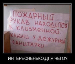 post-3619-13129945835717_thumb.jpg