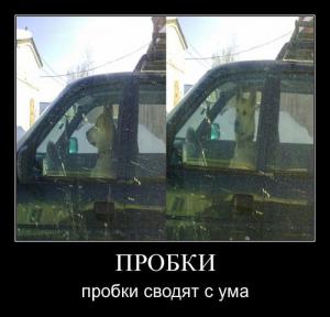 post-3619-13129945838134_thumb.jpg