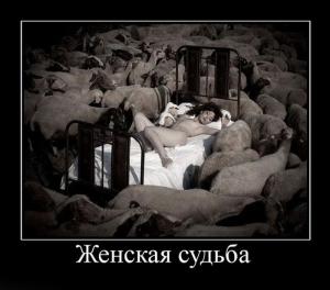 post-3619-13129946412997_thumb.jpg