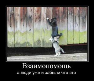 post-3619-13129948246942_thumb.jpg