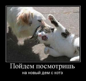 post-3619-13129948251991_thumb.jpg