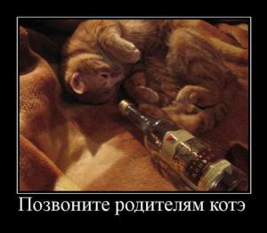 post-3619-13129948252576_thumb.jpg