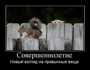 post-3619-13129948264066_thumb.jpg
