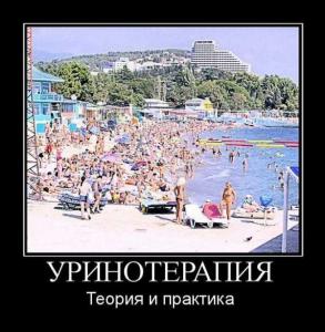 post-3619-13129948266345_thumb.jpg