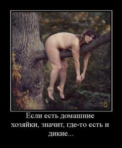 post-3619-1312994826935_thumb.jpg